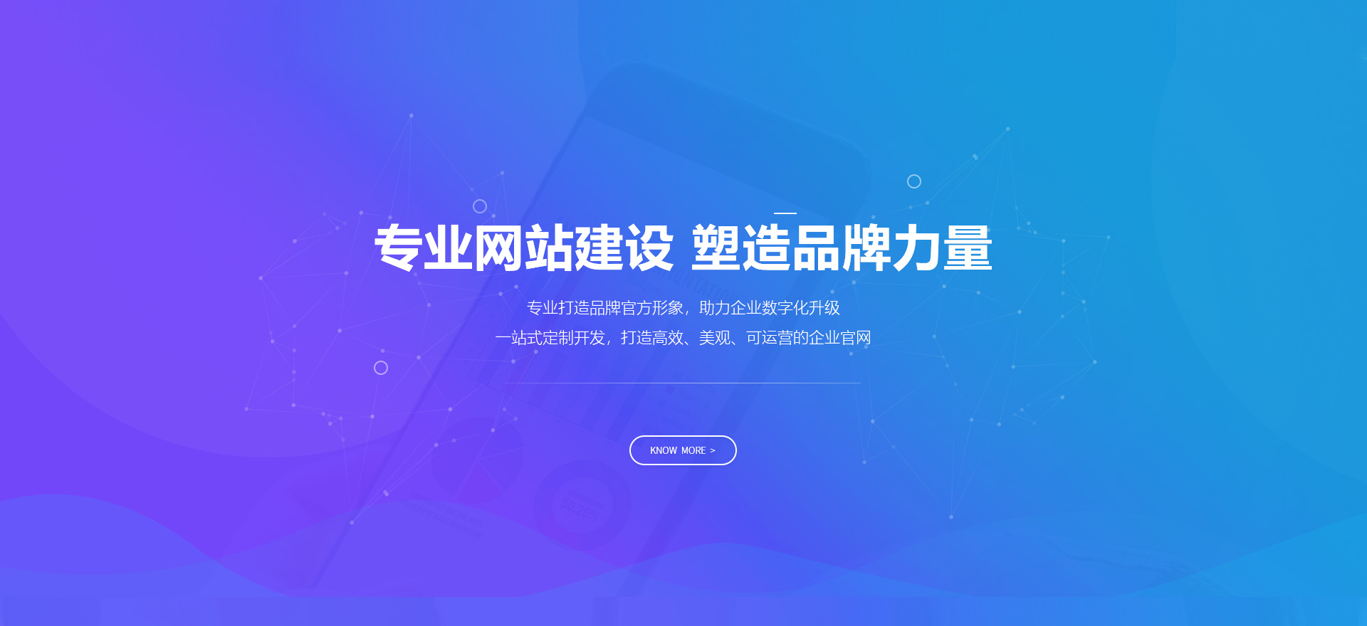 临夏县建站-专业网站建设 塑造品牌力量