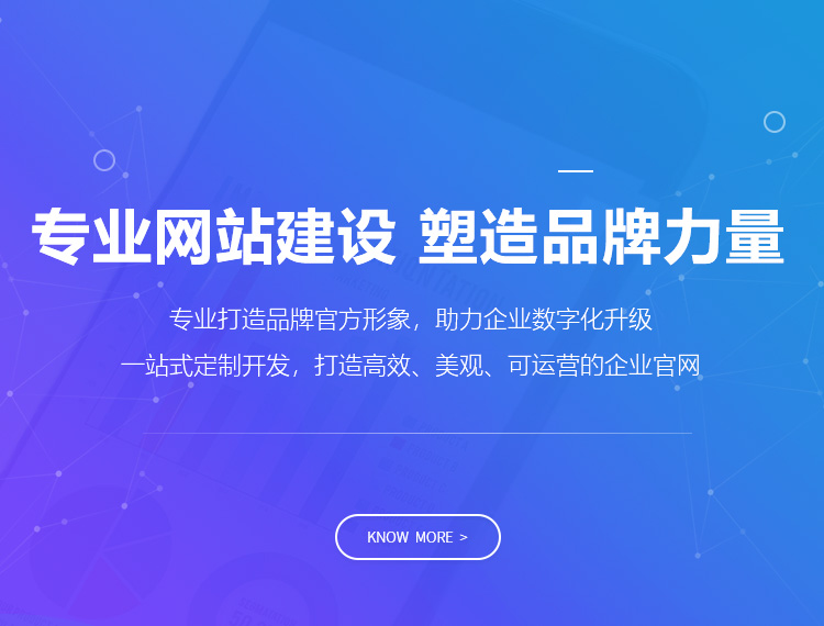 临夏县建站-专业网站建设 塑造品牌力量